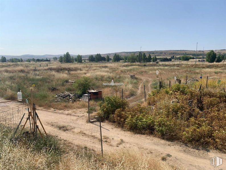 Land for sale at Calle Crisantemo, Ávila, 05002 with sky, plant, plant community, natural landscape, tree, land lot, grass, plain, grassland and landscape around