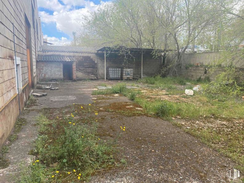 Nave en alquiler en Zona empresarial, Coslada, Madrid, 28820 con planta, propiedad, cielo, árbol, superficie de la carretera, lote de terreno, vegetación, flor, paisaje natural y pared alrededor