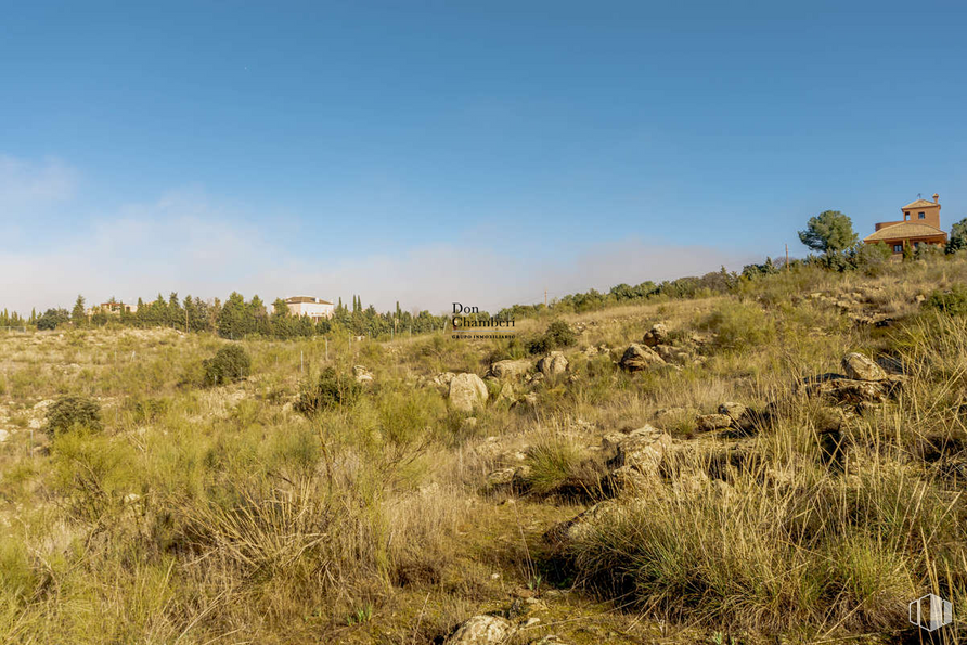 Land for sale at Urbanización La Pozuela, Toledo, 45004 with sky, plant, natural landscape, cloud, plain, meadow, grass, landscape, grassland and tree around