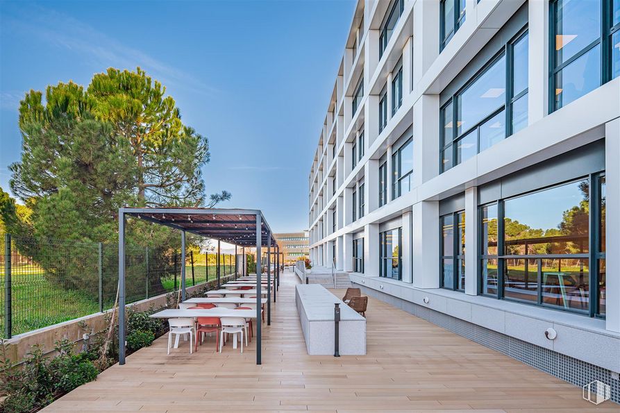 Oficina en alquiler en Camino Cerro de los Gamos, 1, Pozuelo de Alarcón, Madrid, 28224 con mesa, edificio, cielo, planta, ventana, sombra, arquitectura, diseño urbano, árbol y condominio alrededor