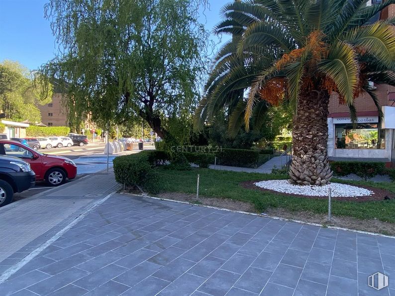 Retail for sale & for rent at Calle Cañadilla, Las Rozas de Madrid, Madrid, 28230 with car, wheel, tire, sky, plant, vehicle, building, road surface, tree and asphalt around