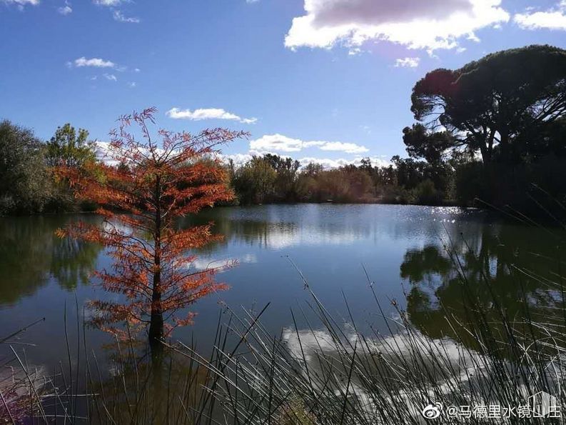 Land for sale at Zona El Rincón, s/n, Aldea del Fresno, Madrid, 28620 with cloud, water, sky, daytime, plant, natural landscape, tree, branch, lake and sunlight around