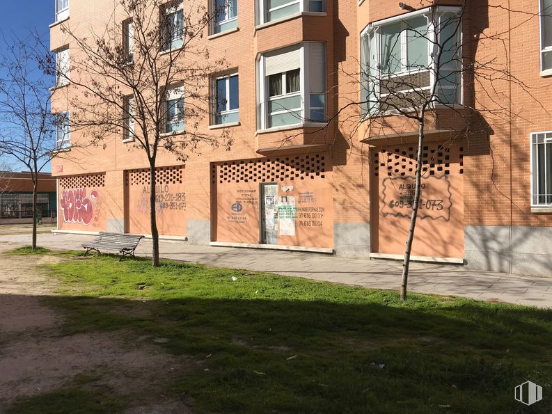 Local en alquiler y venta en Calle Beatriz Galindo, 7, San Sebastián de los Reyes, Madrid, 28700 con edificio, ventana, día, propiedad, planta, diseño urbano, árbol, ladrillo, barrio y condominio alrededor