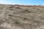 Land for sale at Polígono 3, Parcela 86, Las Ventas de Retamosa, Toledo, 45183 with sky, plant, cloud, natural landscape, land lot, grass, tree, grassland, landscape and grass family around