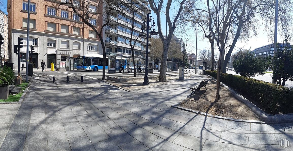 Local en alquiler en Paseo Castellana, 70, Chamartín, Madrid, 28046 con edificio, planta, ventana, cielo, superficie de carretera, árbol, diseño urbano, acera, barrio y espacio público alrededor