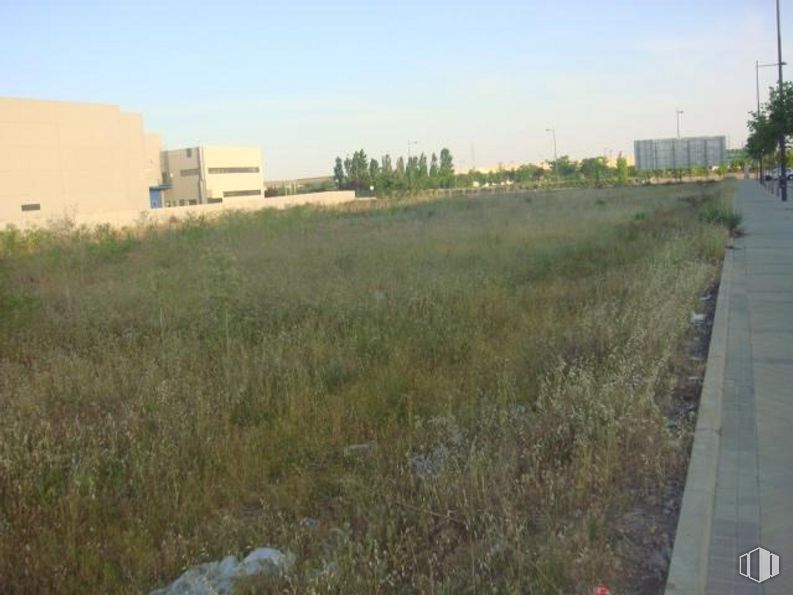 Suelo en venta en Parque Empresarial Carpetania, Getafe, Madrid, 28906 con edificio, cielo, propiedad, planta, ecorregión, terreno, hierba, luz de la calle, paisaje y asfalto alrededor