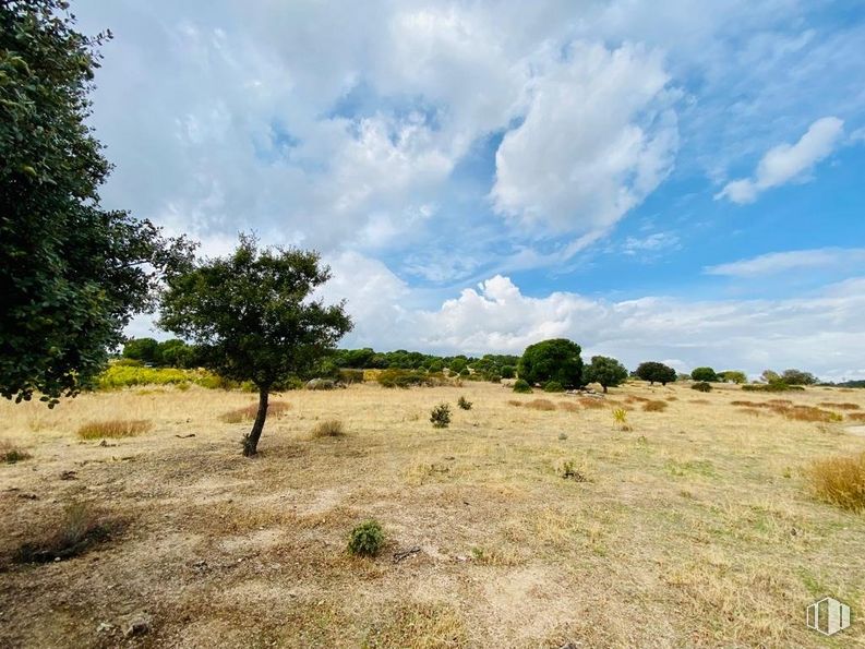 Land for sale at Carretera N-403, San Martín de Valdeiglesias, Madrid, 28680 with cloud, sky, plant, plant community, natural landscape, tree, grass, cumulus, plain and landscape around