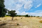 Land for sale at Carretera N-403, San Martín de Valdeiglesias, Madrid, 28680 with cloud, sky, plant, plant community, natural landscape, tree, grass, cumulus, plain and landscape around