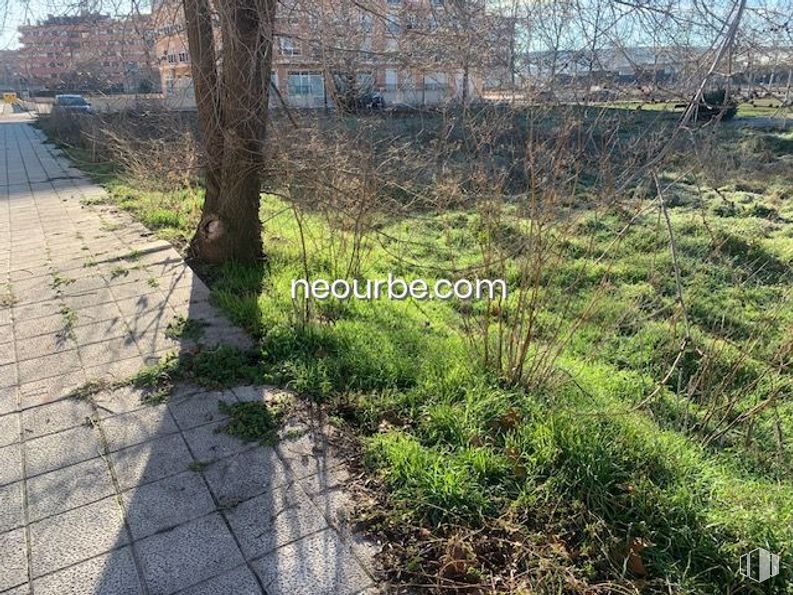 Land for sale at Urbanización Santo Tomé, Ávila, 05003 with plant, natural landscape, land lot, vegetation, grass, road surface, tree, shrub, groundcover and landscape around