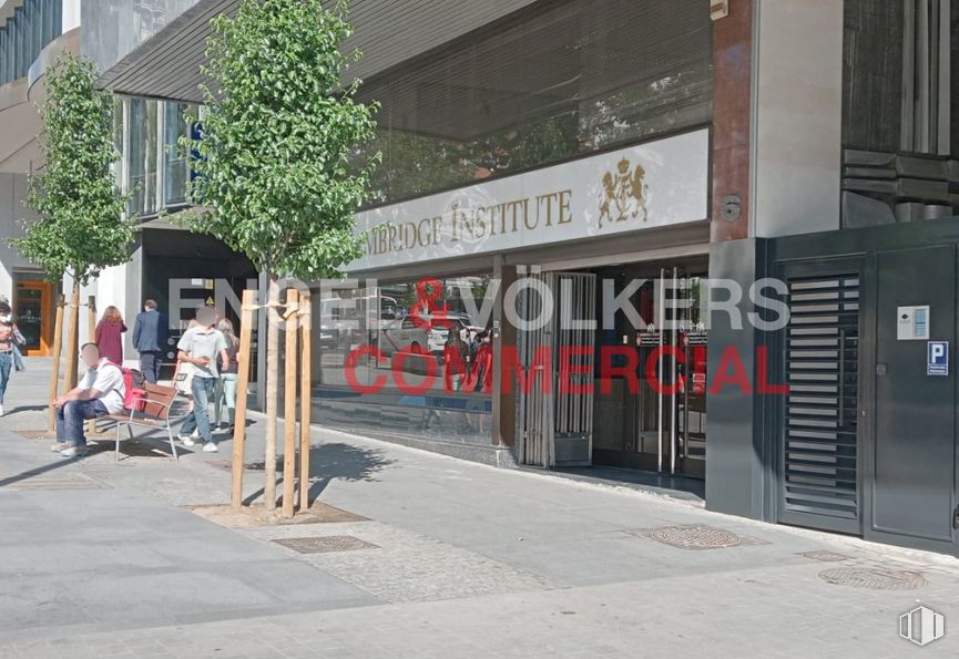 Office for rent at Plaza España, Centro, Madrid, 28008 with person, property, building, window, architecture, tree, sidewalk, neighbourhood, plant and facade around