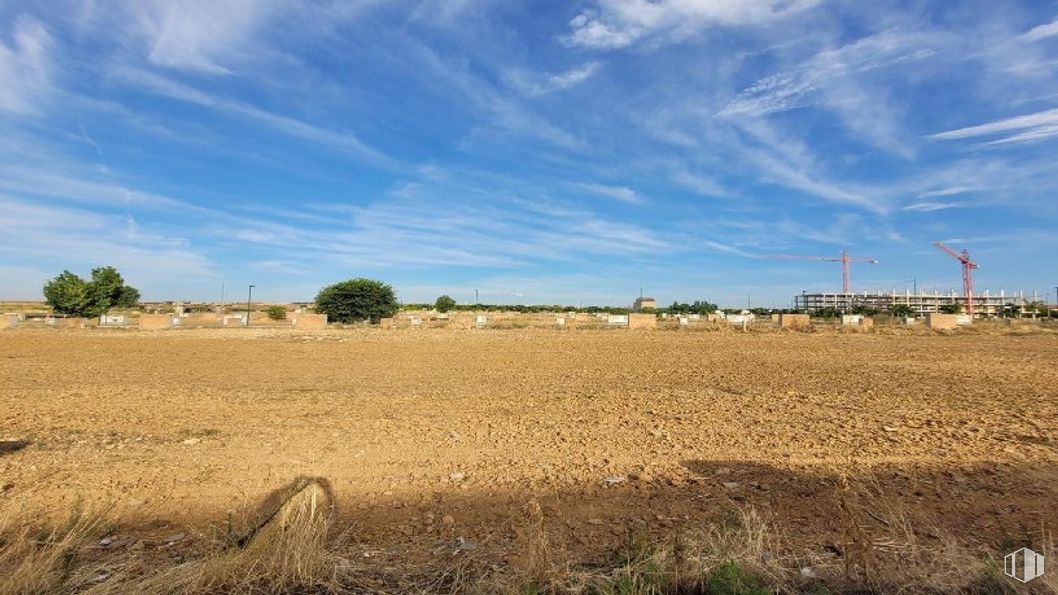 Land for sale at Avenida Bulevar Castilla La Mancha, 18, Marchamalo, Guadalajara, 19180 with cloud, sky, plant, tree, natural landscape, horizon, plain, agriculture, landscape and grassland around