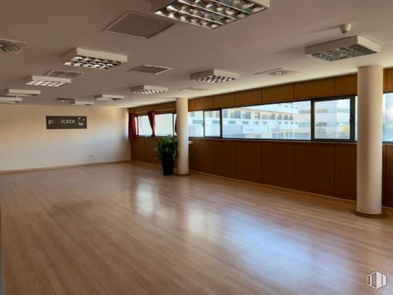 Oficina en venta en Plaza Once Colmenas, 1, Tres Cantos, Madrid, 28760 con planta, accesorio, madera, suelo, pasillo, piso, edificio, madera, techo y evento alrededor