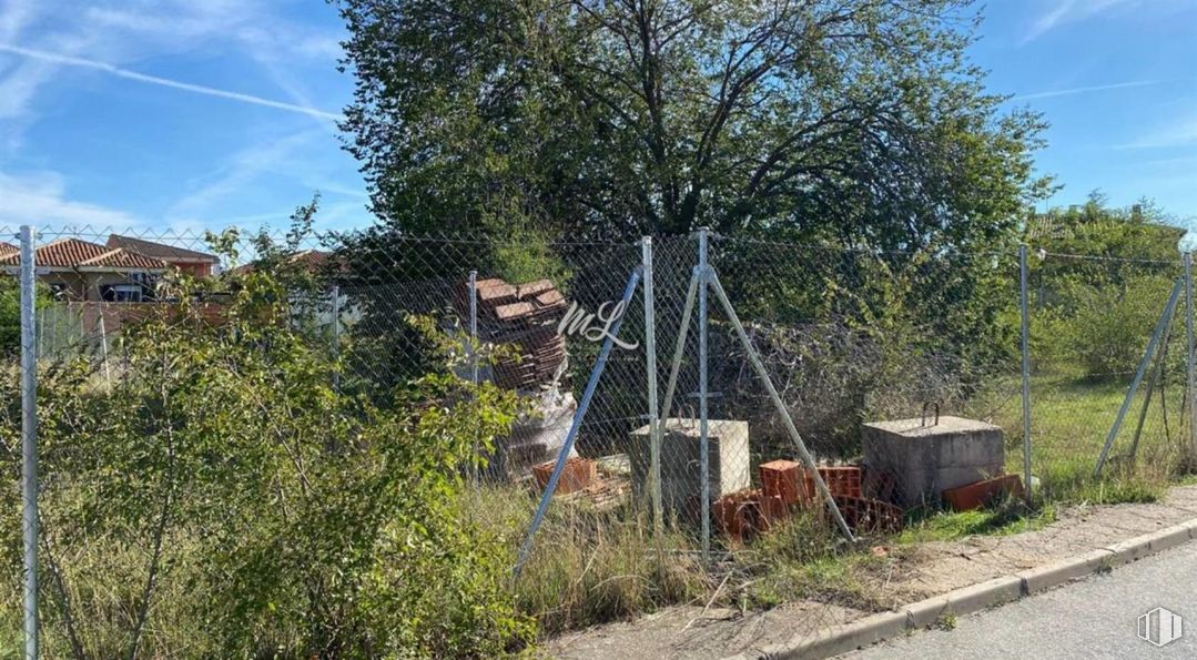 Land for sale at Calle Roble, Burguillos de Toledo, Toledo, 45112 with plant, sky, cloud, vegetation, window, tree, wood, grass, landscape and twig around