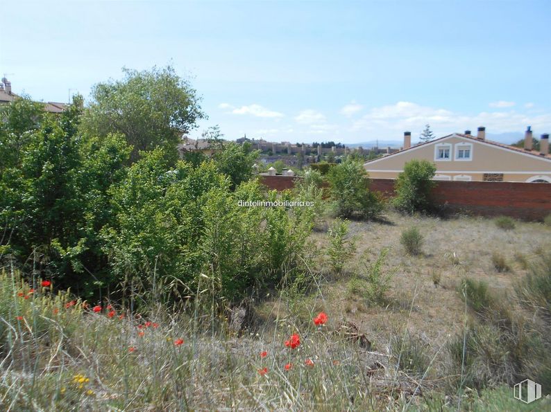 Land for sale at La Encarnación, Ávila, 05005 with house, plant, sky, cloud, flower, plant community, ecoregion, window, building and land lot around