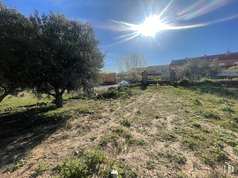 Land for sale at Camino de la Torre, Santa Cruz del Retamar, Toledo, 45513 with plant, sky, ecoregion, cloud, natural landscape, branch, tree, sunlight, vegetation and land lot around