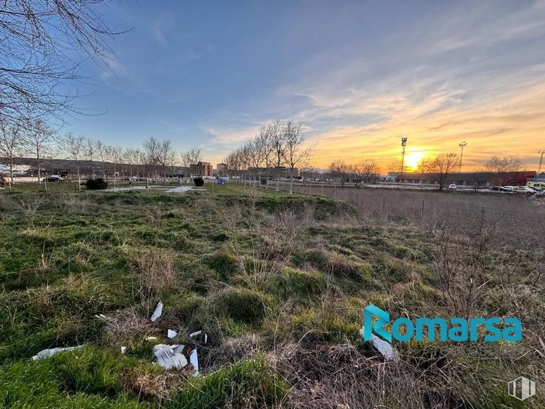 Land for sale at Urbanización Santo Tomé, Ávila, 05003 with animal, cloud, sky, daytime, plant, natural landscape, sunlight, tree, land lot and grass around