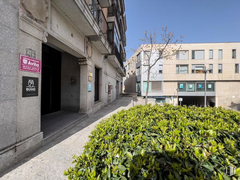 Oficina en alquiler y venta en Plaza Claudio Sánchez Albornoz, Ávila, 05001 con edificio, planta, ventana, cielo, superficie de la carretera, arquitectura, barrio, diseño urbano, árbol y zona residencial alrededor