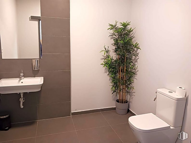 Retail for sale at Barrio Castellana, Salamanca, Madrid, 28006 with toilet, sink, houseplant, mirror, plant, plumbing fixture, bathroom, tap, purple and flowerpot around