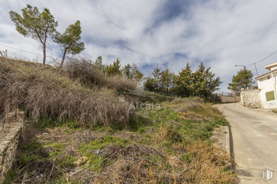 Suelo en venta en Calle Pocillo, Carabaña, Madrid, 28560 con nube, cielo, planta, comunidad vegetal, árbol, pendiente, lote de terreno, paisaje natural, hierba y arbusto alrededor