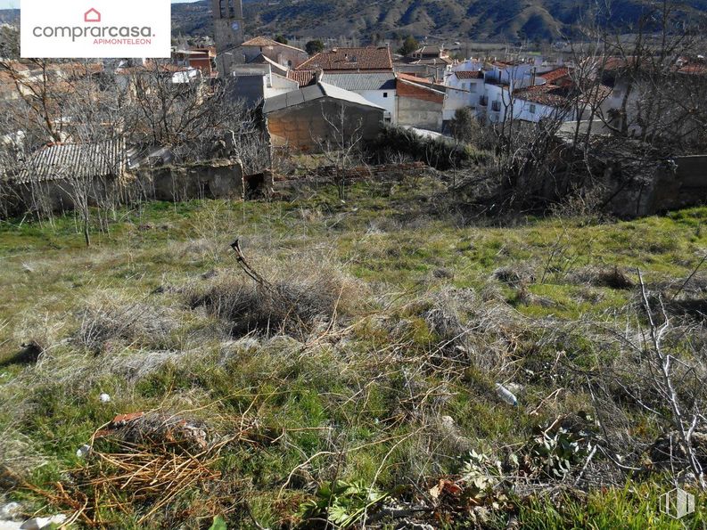 Suelo en venta en Calle Real, Carabaña, Madrid, 28560 con planta, comunidad de plantas, paisaje natural, lote de tierra, casa, edificio, hierba, cobertura del suelo, pastizal y zona rural alrededor