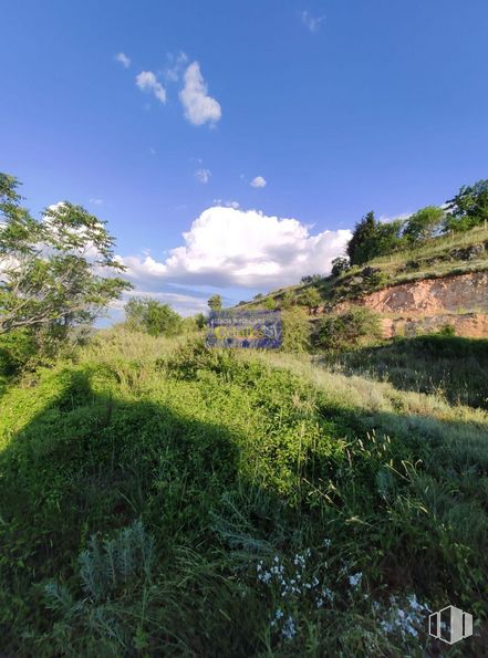 Land for sale at Camino Pililla, Horche, Guadalajara, 19140 with sky, cloud, plant, natural landscape, tree, groundcover, grass, plain, cumulus and slope around