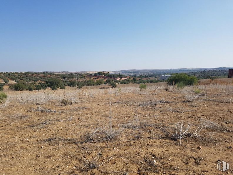 Land for sale at Calle Jorge Manrique, Guadamur, Toledo, 45160 with sky, plant, natural landscape, tree, grassland, bedrock, horizon, landscape, prairie and road around