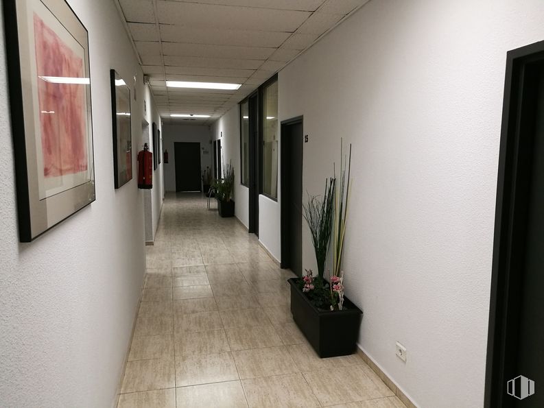 Oficina en alquiler en Edificio Fuentemar, Avenida Fuentemar, 16, Coslada, Madrid, 28820 con marco, planta de interior, maceta, planta, planta de casa, edificio, suelo, piso, diseño de interiores, madera y entrada alrededor