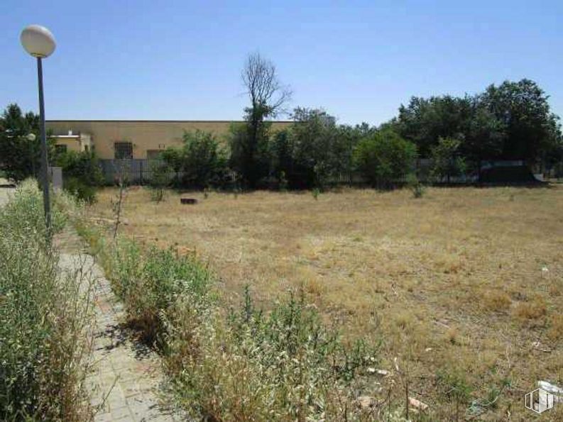 Suelo en venta en Calle Turina, Dosbarrios, Toledo, 45311 con luz de la calle, planta, cielo, comunidad de plantas, árbol, paisaje natural, lote de tierra, paisaje, llanura y arbusto alrededor