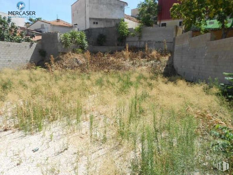 Land for sale at Zona Centro, Cabanillas del Campo, Guadalajara, 19171 with plant, building, plant community, sky, land lot, tree, grass, residential area, groundcover and shrub around