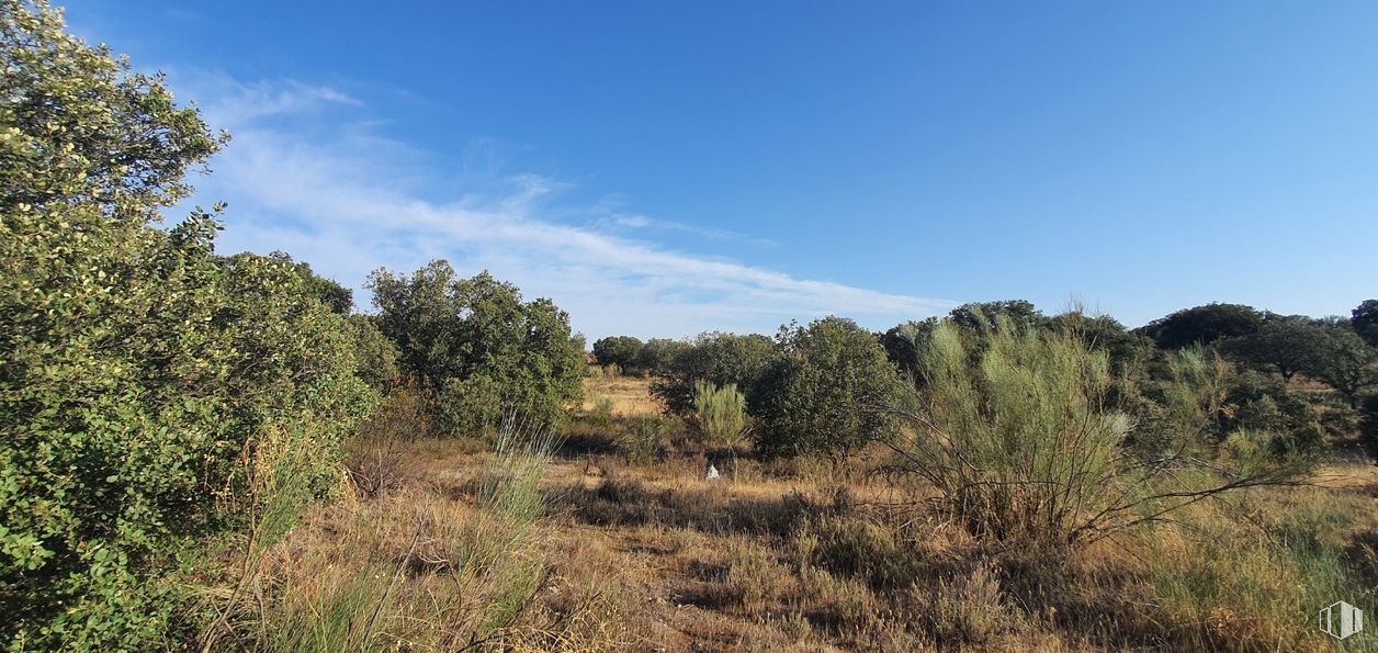 Land for sale at Urbanización Sector 1, Hormigos, Toledo, 45919 with cloud, sky, plant, natural landscape, grass, shrub, tree, mountain, landscape and grassland around