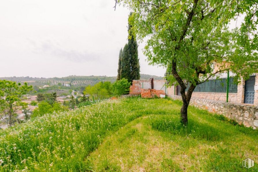 Land for sale at Calle San Roque, Valverde de Alcalá, Madrid, 28812 with plant, window, sky, tree, natural landscape, land lot, building, grass, house and groundcover around