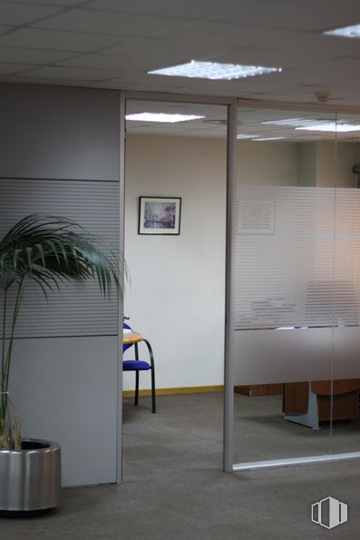 Office for sale at Calle Mahón, Las Rozas de Madrid, Madrid, 28230 with houseplant, picture frame, flowerpot, lighting, plant, architecture, interior design, flooring, wall and floor around