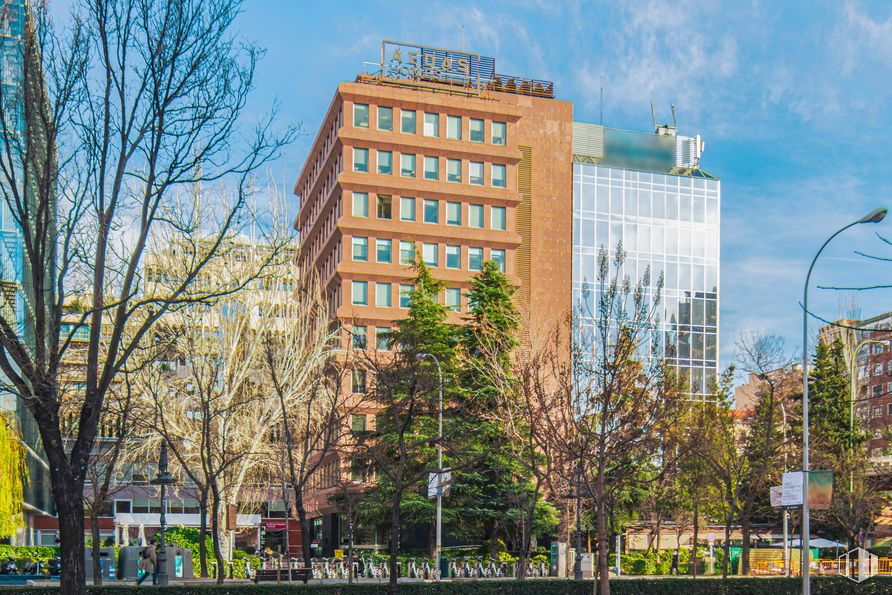 Oficina en alquiler en Paseo Castellana, 42, Salamanca, Madrid, 28046 con edificio, luz de la calle, cielo, planta, día, nube, ventana, árbol, diseño urbano y barrio alrededor