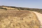 Land for sale at Calle Alondra, Fresno de Torote, Madrid, 28815 with sky, plant, natural landscape, grass, agriculture, grassland, plain, landscape, meadow and hill around