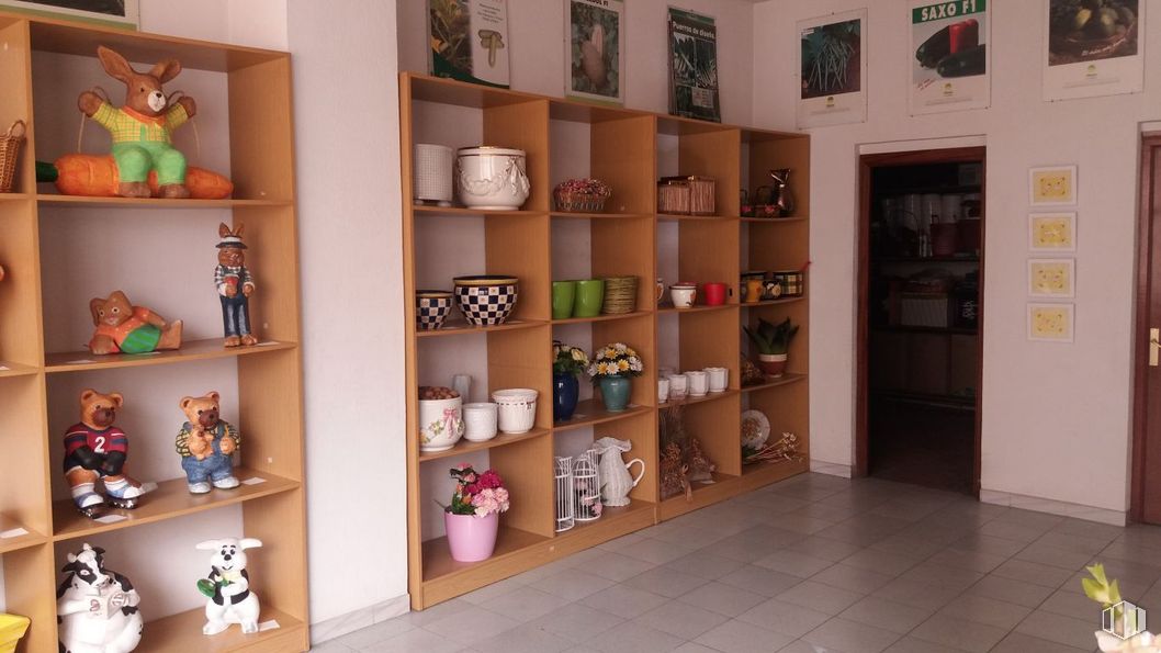 Local en alquiler en Calle Virgen, Mozoncillo, Segovia, 40250 con mueble, figurita, estante, estantería, madera, interiorismo, suelos, estantería, habitación y colección alrededor