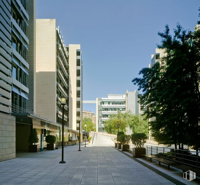 Oficina en alquiler en Calle Serrano Galvache, 56, Ciudad Lineal, Madrid, 28033 con edificio, planta, cielo, tiempo de día, propiedad, árbol, bloque de pisos, arquitectura, diseño urbano y vecindario alrededor