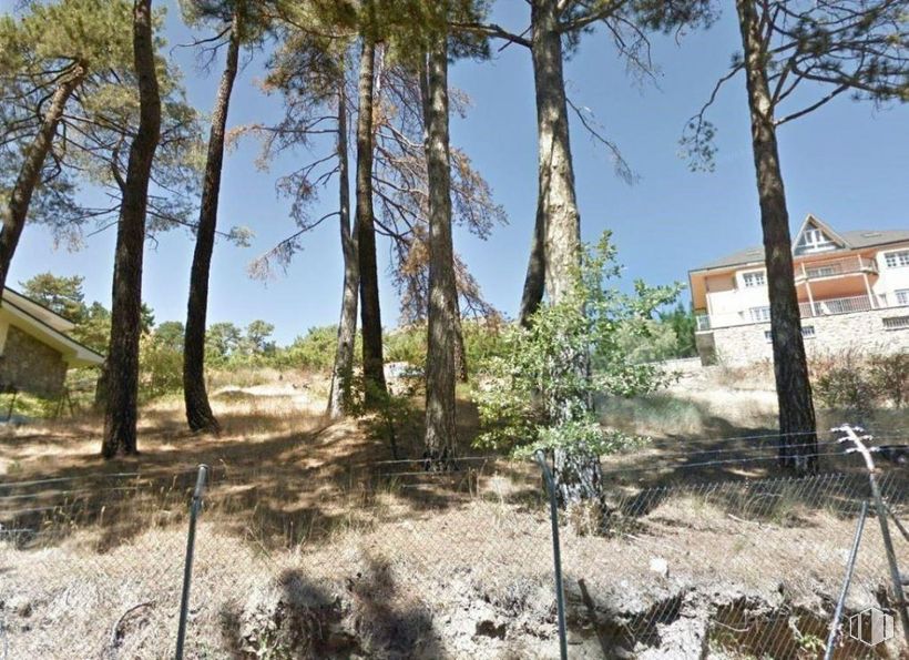 Land for sale at Calle Cerro Abantos, San Lorenzo de El Escorial, Madrid, 28200 with house, plant, sky, plant community, window, branch, building, land lot, vegetation and wood around