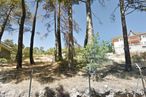 Land for sale at Calle Cerro Abantos, San Lorenzo de El Escorial, Madrid, 28200 with house, plant, sky, plant community, window, branch, building, land lot, vegetation and wood around