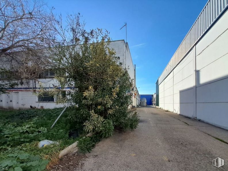 Nave en alquiler y venta en Camino Ancho, Daganzo de Arriba, Madrid, 28814 con casa, edificio, planta, cielo, superficie de la carretera, asfalto, lote de terreno, árbol, pendiente y zona residencial alrededor