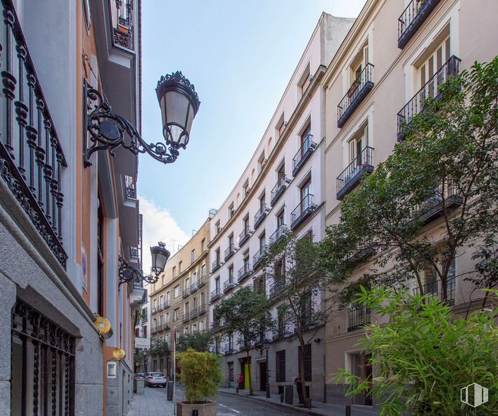 Oficina en alquiler en Calle Campomanes, 6, Centro, Madrid, 28013 con edificio, cielo, día, ventana, planta, luz de la calle, diseño urbano, barrio, bioma y árbol alrededor