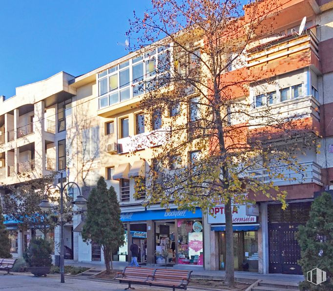 Oficina en alquiler en Calle Gran Vía, Majadahonda, Madrid, 28220 con ventana, tiempo de día, propiedad, edificio, hoja, azul, accesorio, rama, mundo y cielo alrededor