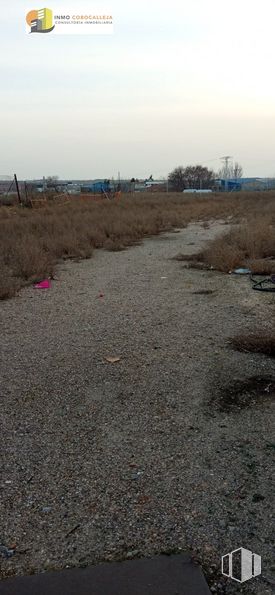 Suelo en alquiler en Zona Miraflores, Fuenlabrada, Madrid, 28032 con cielo, ecorregión, entorno natural, planta, terreno, superficie de la carretera, asfalto, hierba, paisaje y árbol alrededor