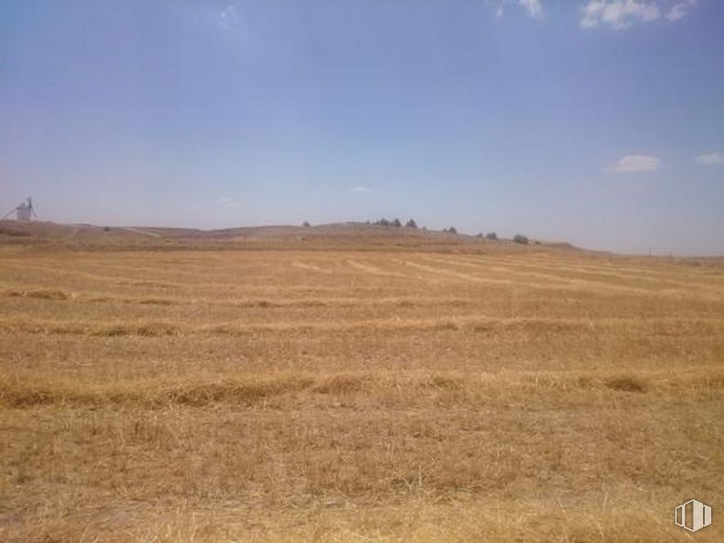 Land for sale at Calle Real de la Guardia, El Romeral, Toledo, 45760 with sky, cloud, natural landscape, tree, agriculture, grassland, plant, horizon, grass and landscape around