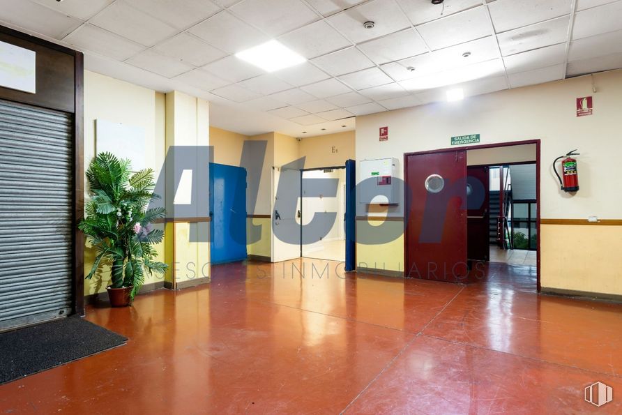 Office for sale at Calle Arroyo Bueno, Villaverde, Madrid, 28021 with houseplant, door, light fixture, plant, building, interior design, floor, flooring, fixture and wall around