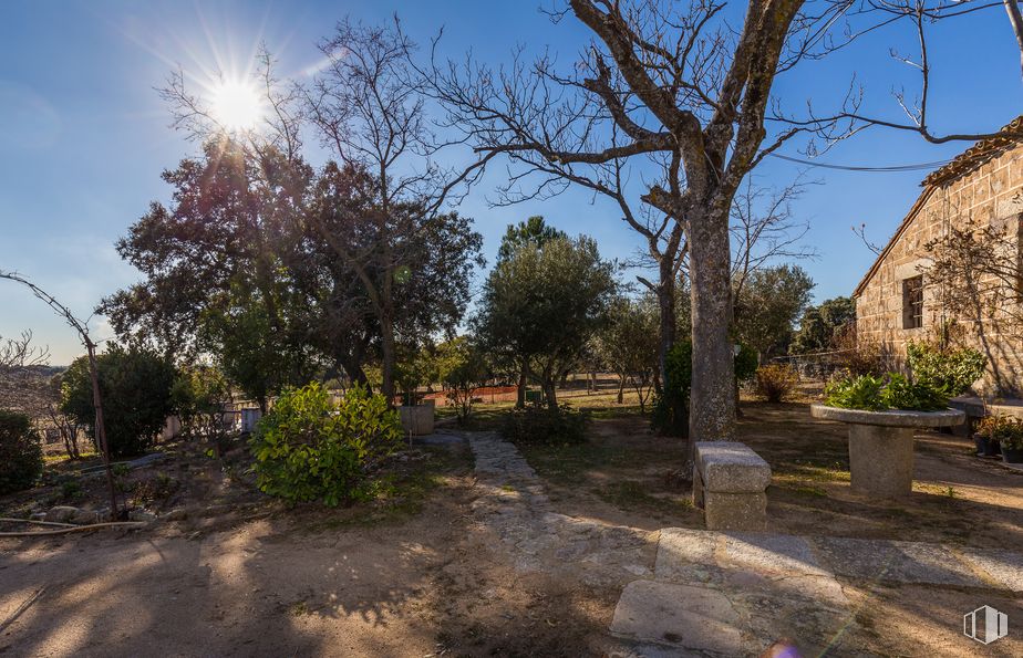 Land for sale at Colmenar del Arroyo, Colmenar del Arroyo, Madrid, 28213 with plant, house, sky, daytime, nature, leaf, tree, branch, road surface and land lot around