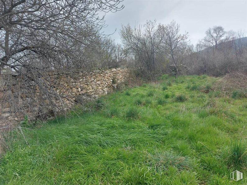 Suelo en venta en Calle Castillo, Sotosalbos, Segovia, 40170 con planta, cielo, árbol, paisaje natural, hierba, cubierta vegetal, paisaje, arbusto, pradera y bosque alrededor