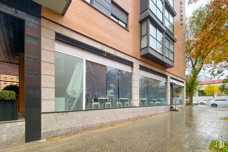 Local en alquiler en Calle Julián Camarillo, San Blas - Canillejas, Madrid, 28037 con ventana, planta de interior, edificio, día, propiedad, planta, superficie de la carretera, arquitectura, diseño urbano y árbol alrededor