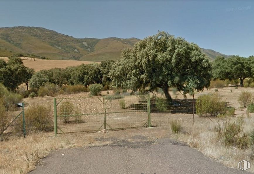 Land for sale at Carretera CM 4.100, km 35, Mohedas de la Jara, Toledo, 45576 with plant, sky, plant community, mountain, tree, natural landscape, land lot, plain, grassland and landscape around