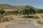 Land for sale at Carretera CM 4.100, km 35, Mohedas de la Jara, Toledo, 45576 with plant, sky, plant community, mountain, tree, natural landscape, land lot, plain, grassland and landscape around