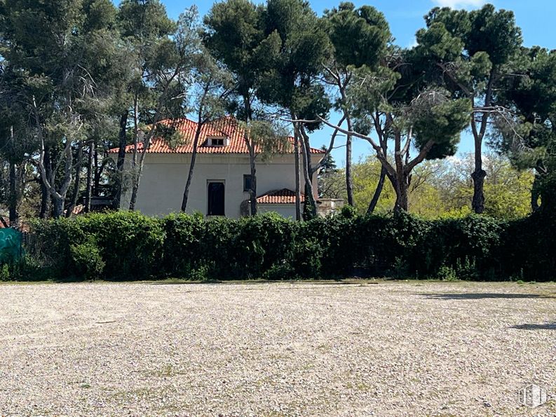 Land for sale at Zona Moncloa - Aravaca, Moncloa - Aravaca, Madrid, 28023 with house, plant, sky, tree, building, land lot, arecales, natural landscape, landscape and grass around